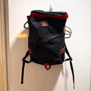 Patagonia Rare Toromiro Pack